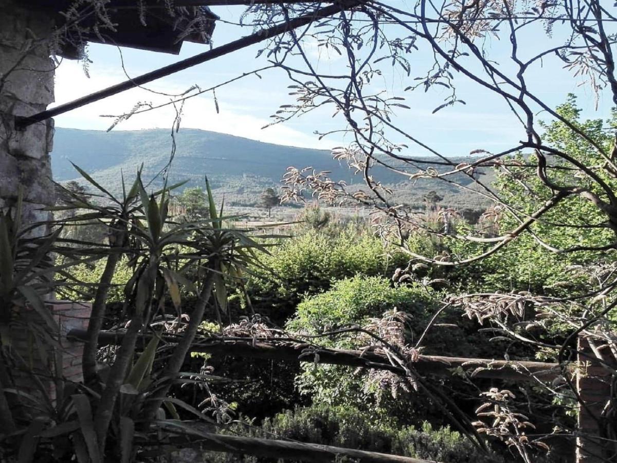 Naturaleza, Confort Y Vistas Inigualable En La Cumbre Gata