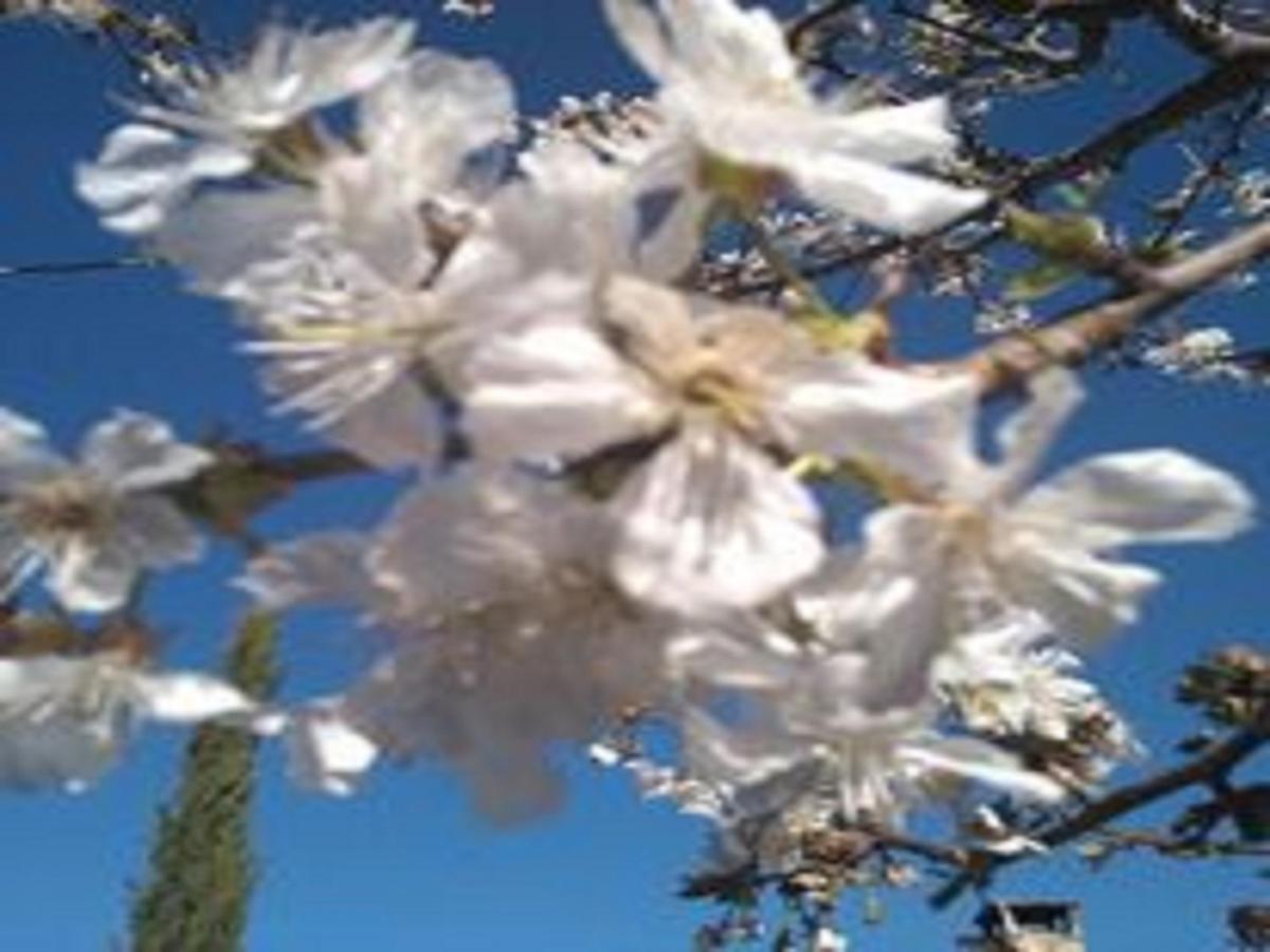 Holiday home Naturaleza, Confort Y Vistas Inigualable En La Cumbre *