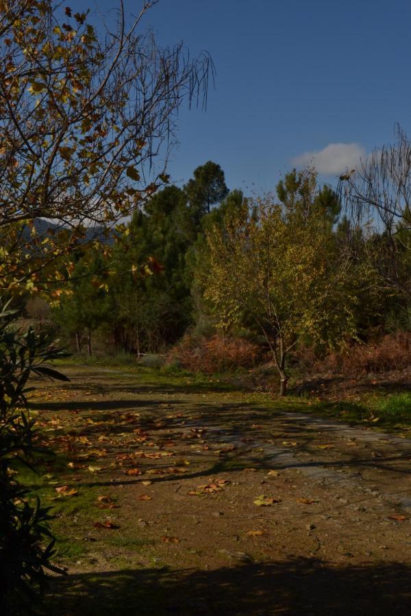 Naturaleza, Confort Y Vistas Inigualable En La Cumbre *